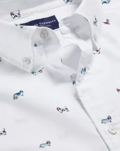 Casual Shirts|S<Charles Tyrwhitt Button-Down Collar Non-Iron Hound Print Shirt - Multi Multicoloured