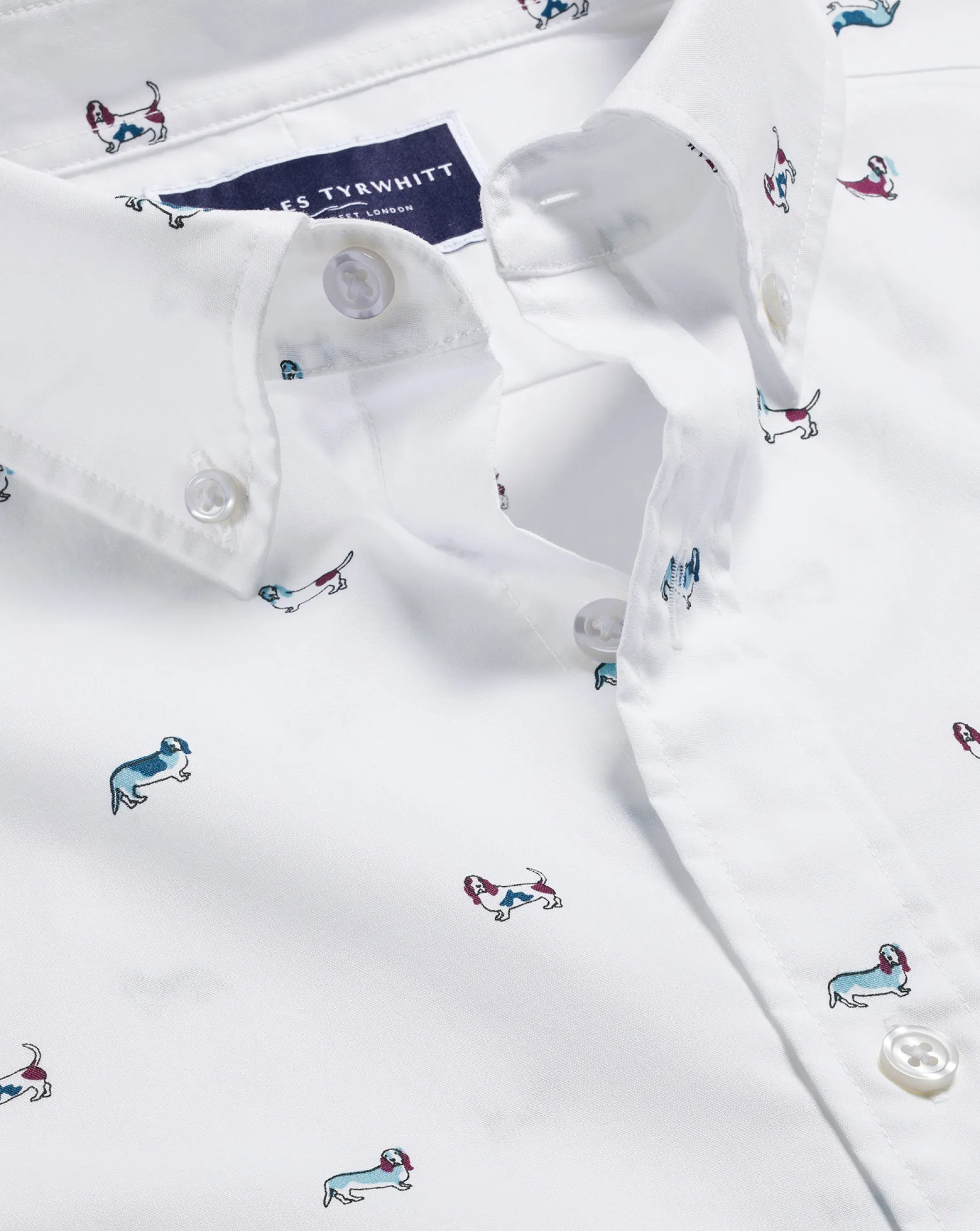 Casual Shirts|S<Charles Tyrwhitt Button-Down Collar Non-Iron Hound Print Shirt - Multi Multicoloured