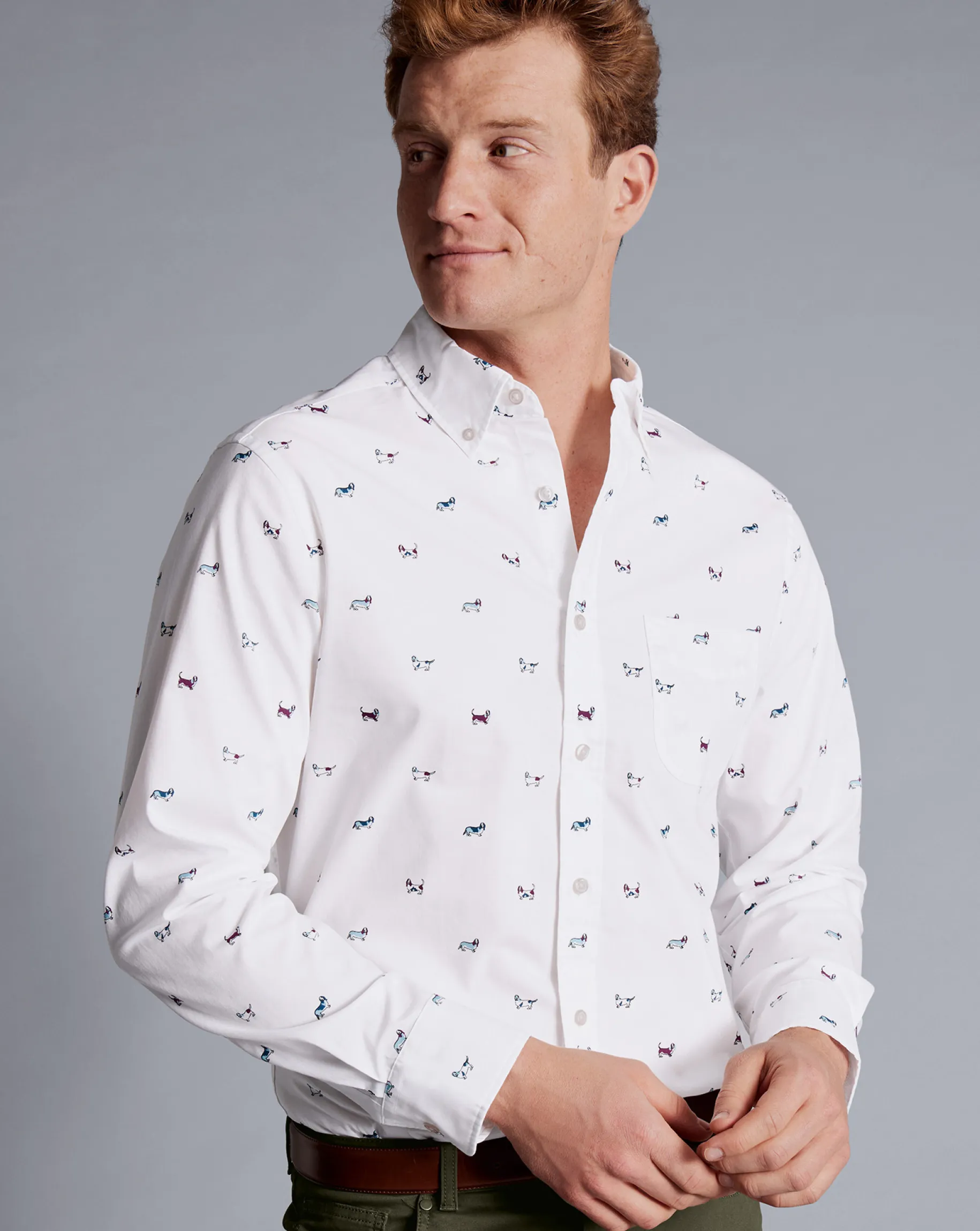 Casual Shirts|S<Charles Tyrwhitt Button-Down Collar Non-Iron Hound Print Shirt - Multi Multicoloured