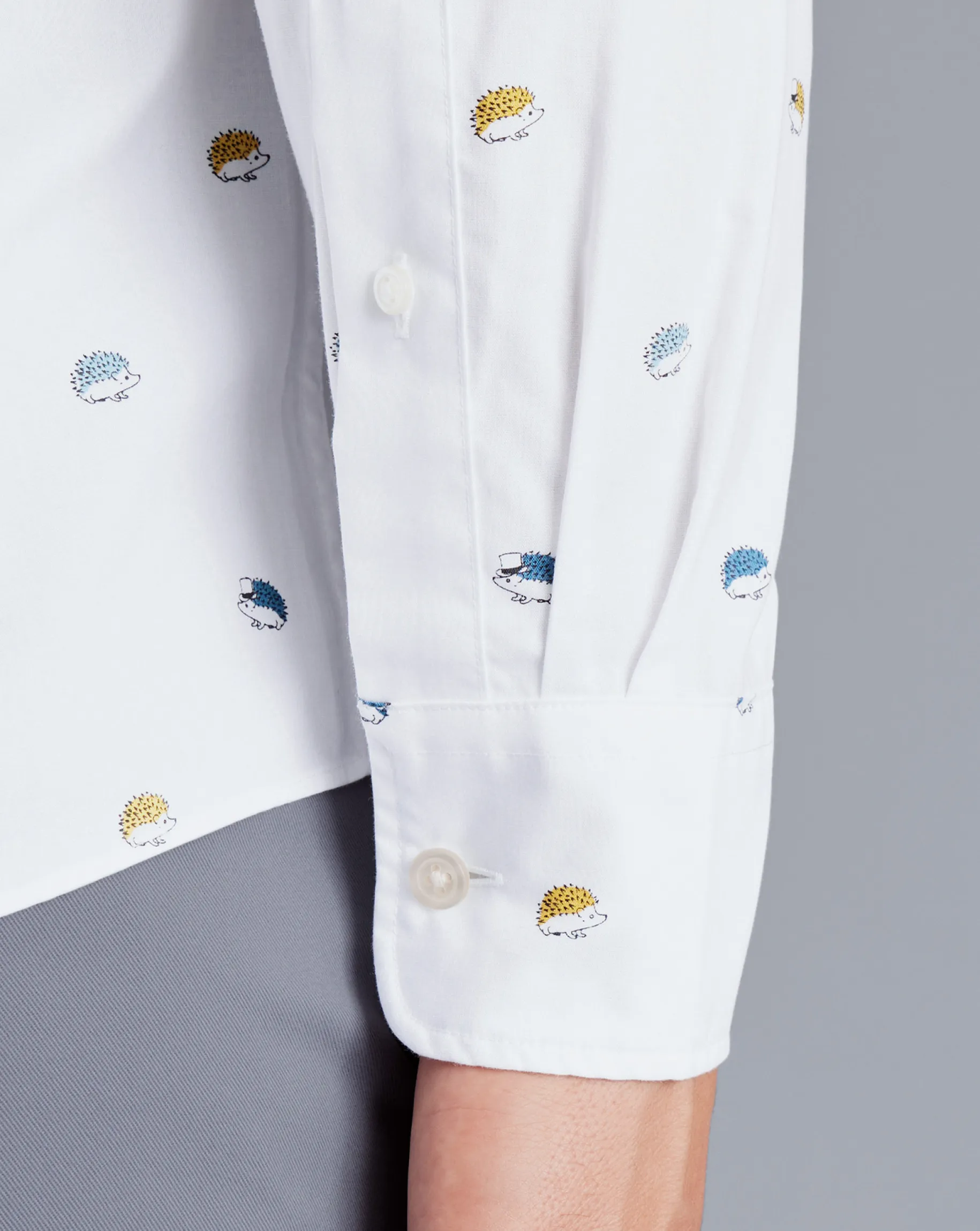 Casual Shirts|M<Charles Tyrwhitt Button-Down Collar Non-Iron Hedgehog Print Shirt - Multi Multicoloured