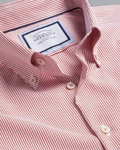 Shirt Sale|Dress Shirts<Charles Tyrwhitt Button-Down Collar Non-Iron Stripe Shirt - Coral Pink
