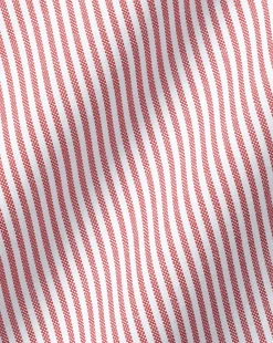 Shirt Sale|Dress Shirts<Charles Tyrwhitt Button-Down Collar Non-Iron Stripe Shirt - Coral Pink