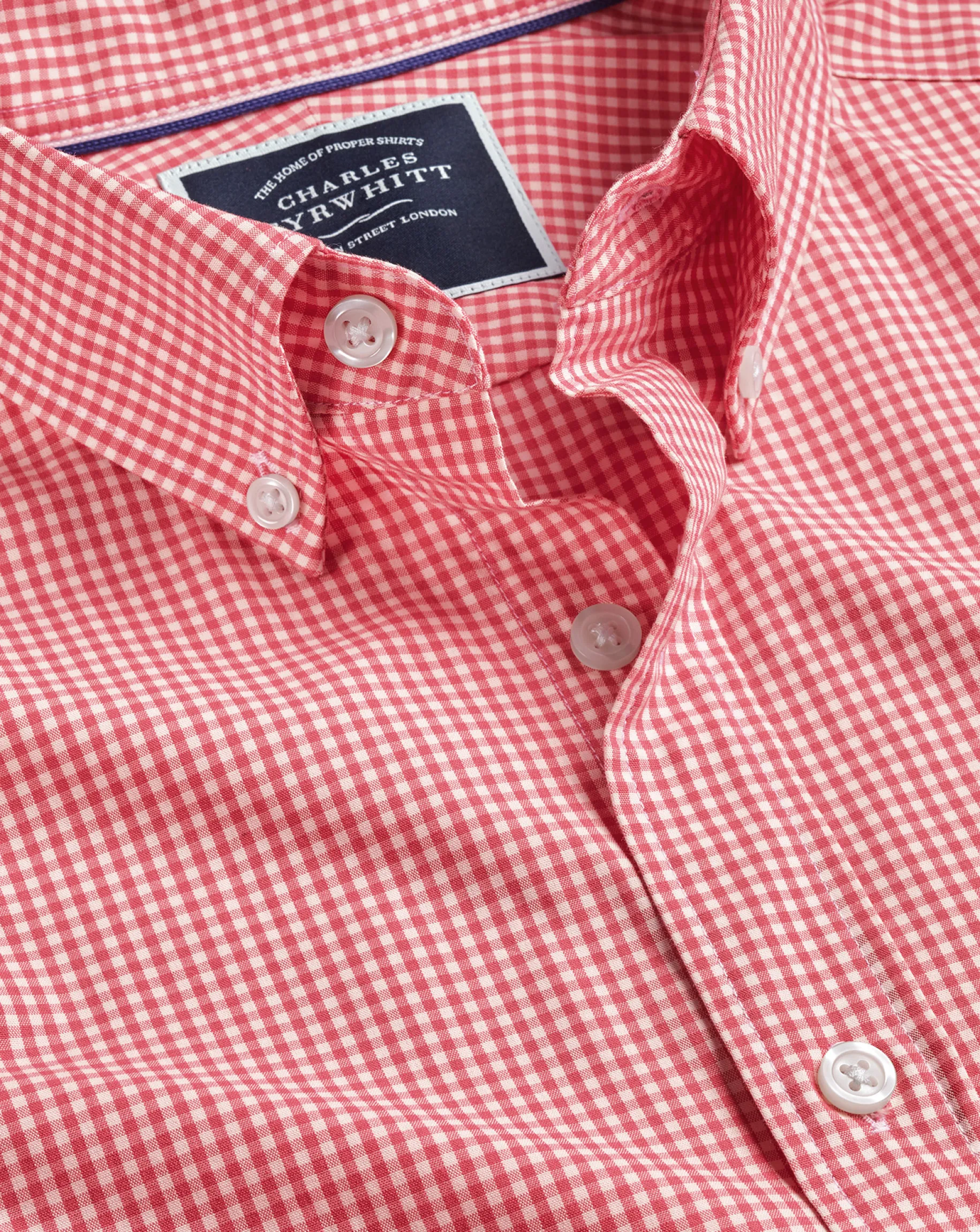 Shirt Sale|Casual Shirts<Charles Tyrwhitt Button-Down Collar Non-Iron Stretch Poplin Mini Gingham Short Sleeve Shirt - Bright Pink